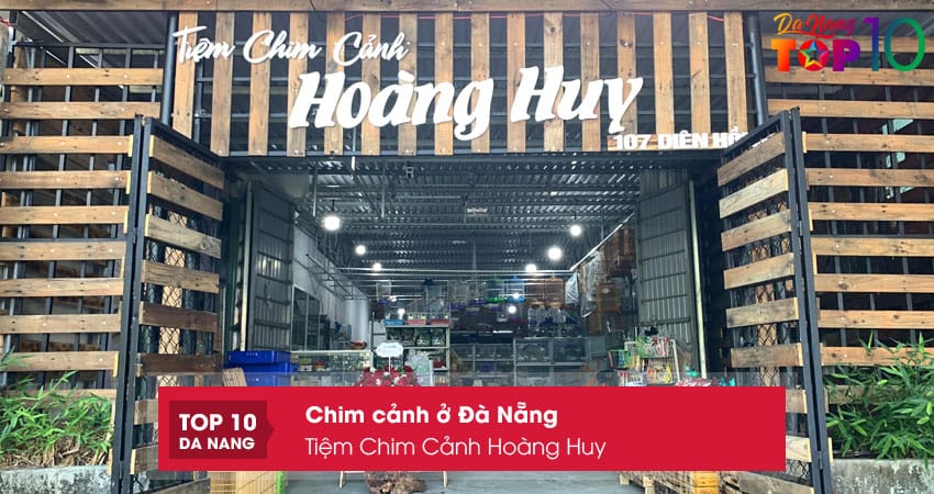 Tiem-chim-canh-hoang-huy-2-top10danang