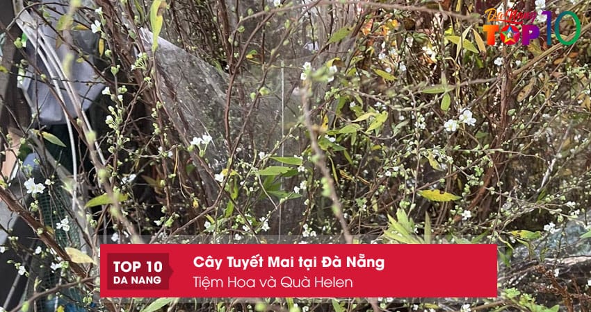 Tiem-hoa-va-qua-helen-top10danang