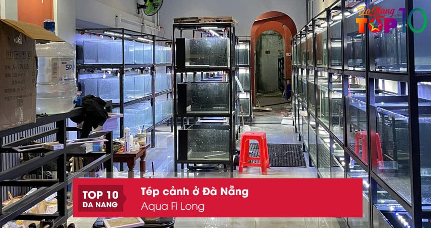 Aqua-fi-long-top10danang