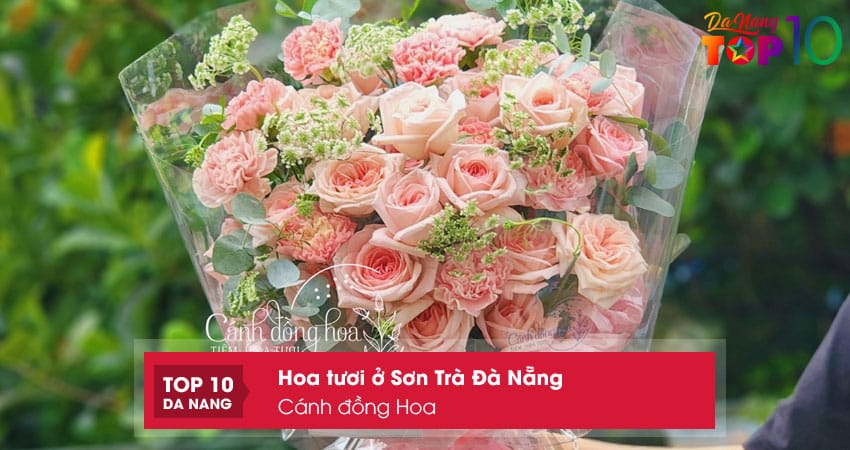 Canh-dong-hoa-top10danang