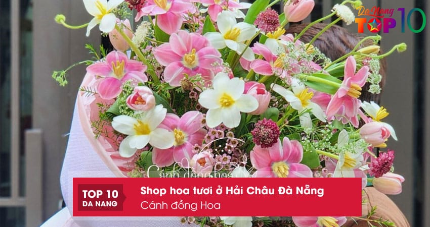 Canh-dong-hoa-top10danang