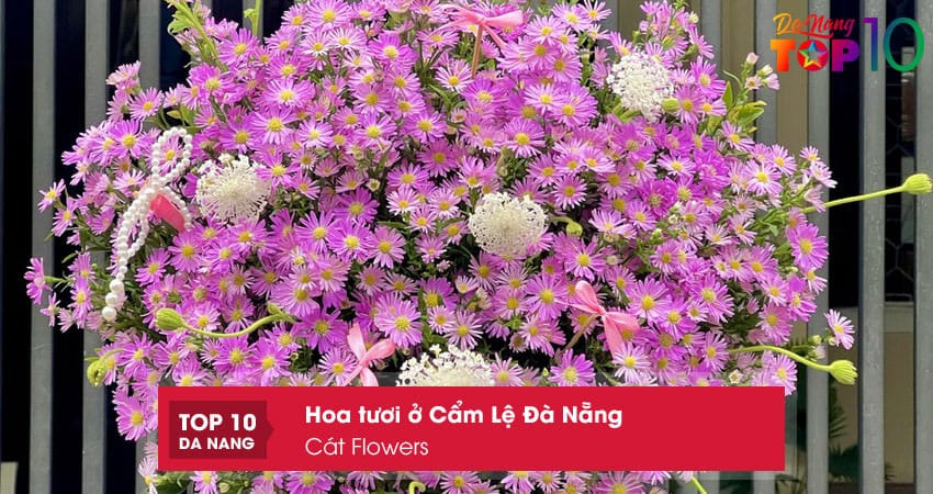 Cat-flowers-top10danang