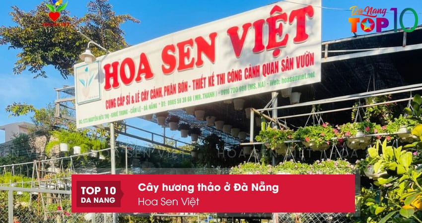 Hoa-sen-viet-top10danang