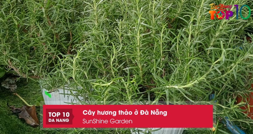 Sunshine-garden-top10danang