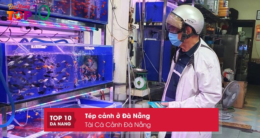 Tai-ca-canh-da-nang-top10danang