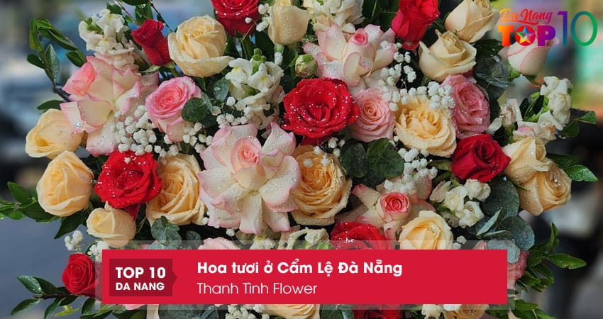 Thanh-tinh-flower-top10danang