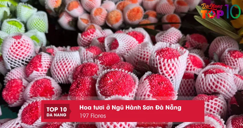 Tu-linh-flower-top10danang