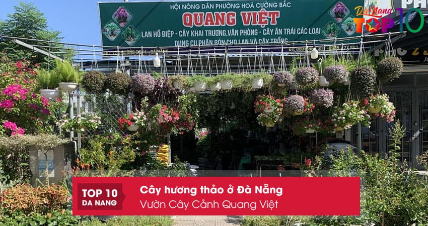 Vuon-cay-canh-quang-viet-top10danang