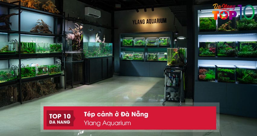 Ylang-aquarium-top10danang