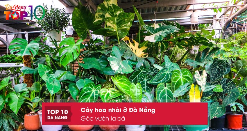 Goc-vuon-la-ca-top10danang