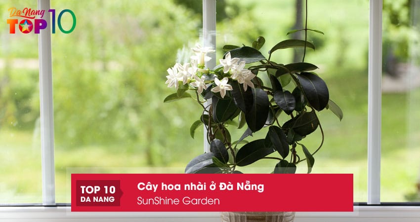 Sunshine-garden-top10danang