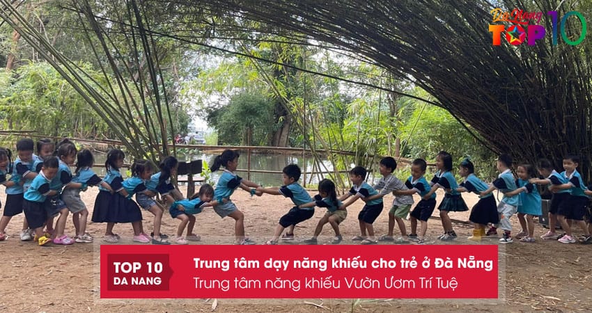 Trung-tam-nang-khieu-vuon-uom-tri-tue-top10danang