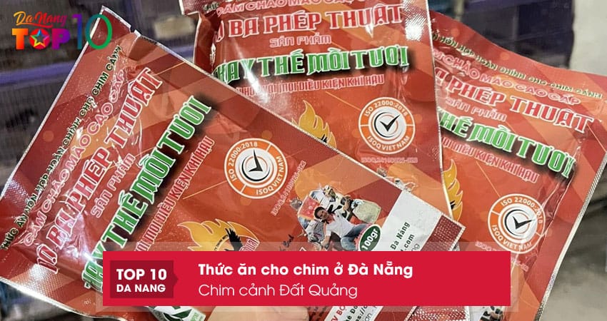Chim-canh-dat-quang-top10danang