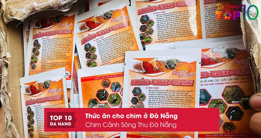 Chim-canh-song-thu-da-nang-top10danang