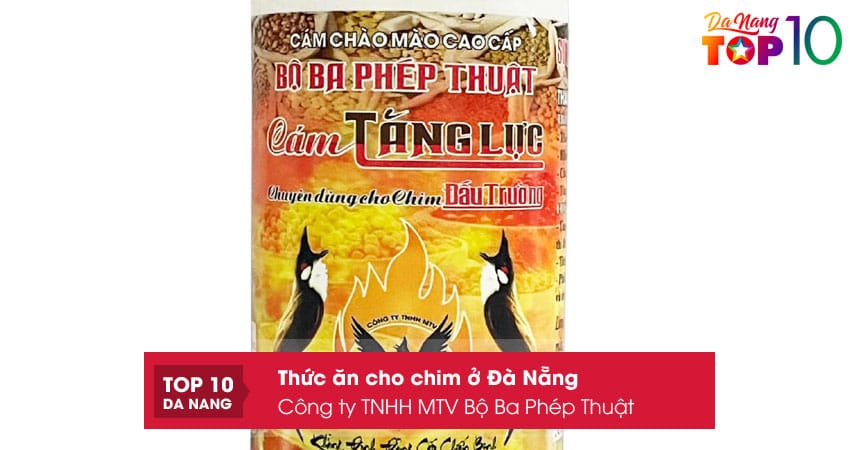 Cong-ty-tnhh-mtv-bo-ba-phep-thuat-top10danang