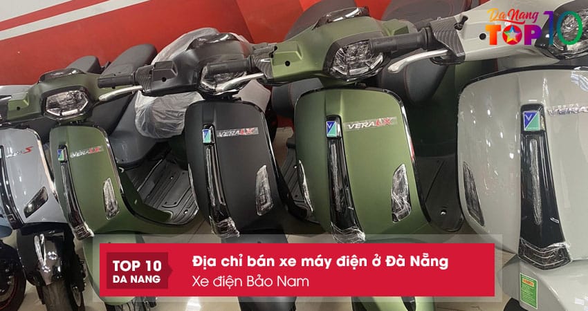 Xe-dien-bao-nam-top10danang