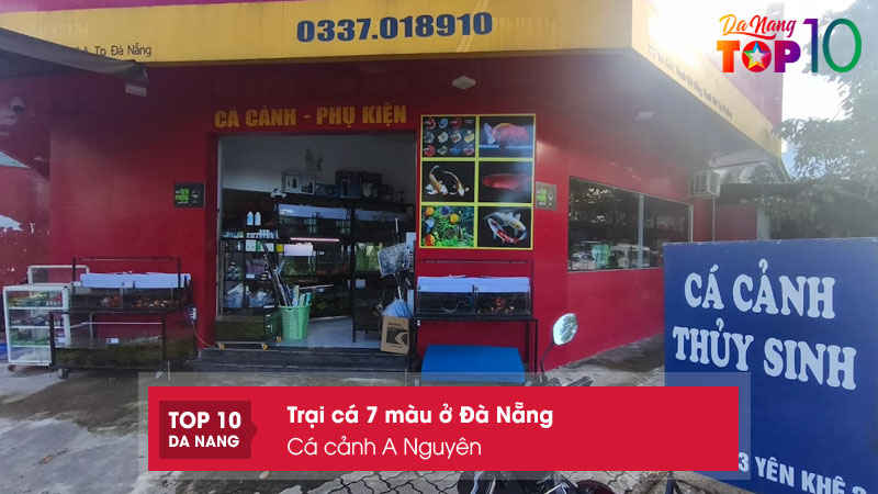 Ca-canh-a-nguyen-top10danang