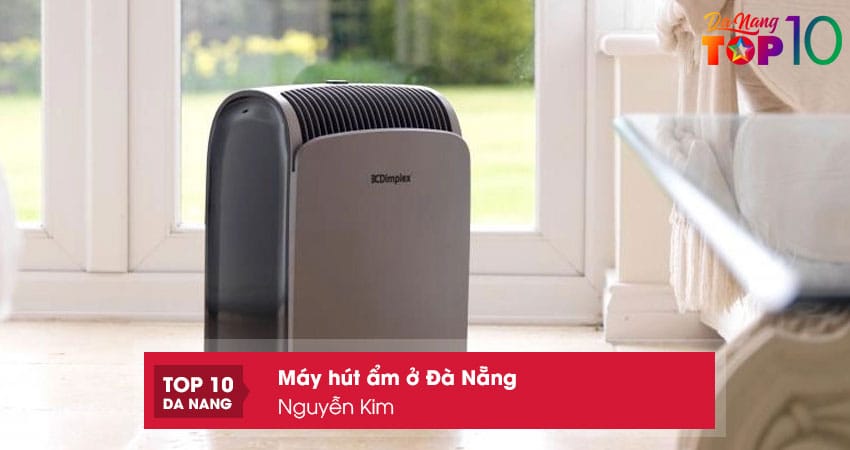 Nguyen-kim-top10danang