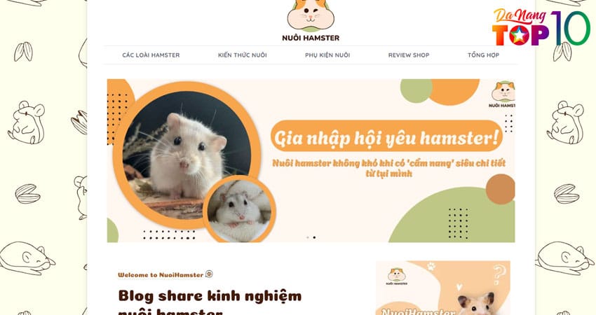 Nuoi-hamster-website-huu-ich-cho-ai-muon-tim-shop-hamster-da-nang-uy-tin-top10danang