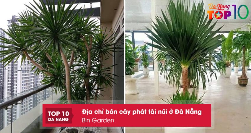 Bin-garden-top10danang