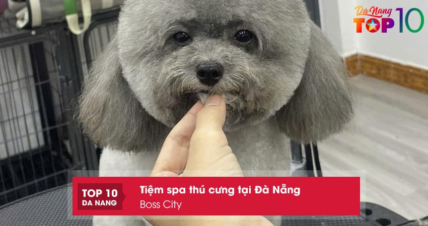 Boss-city-top10danang