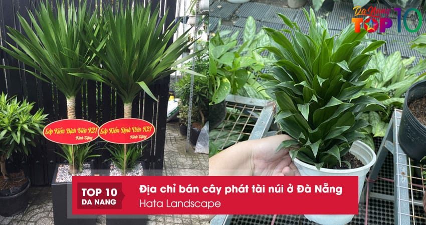 Hata-landscape-top10danang