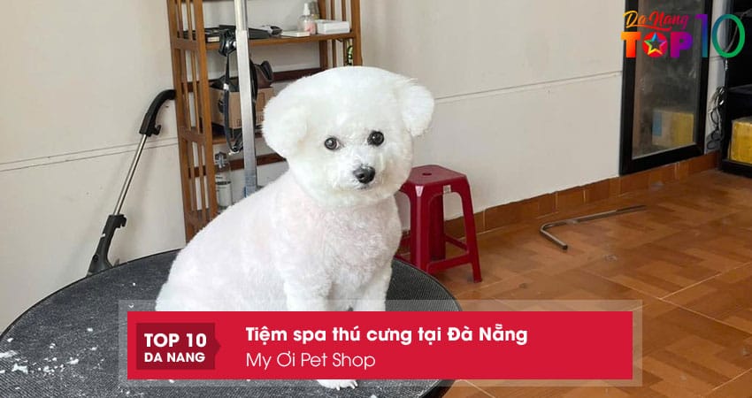 My-oi-pet-shop-top10danang