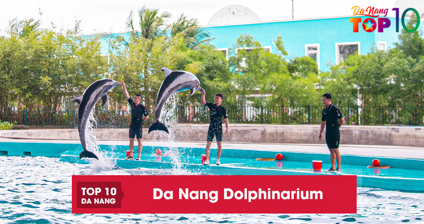 Da-nang-dolphinarium1-top10danang