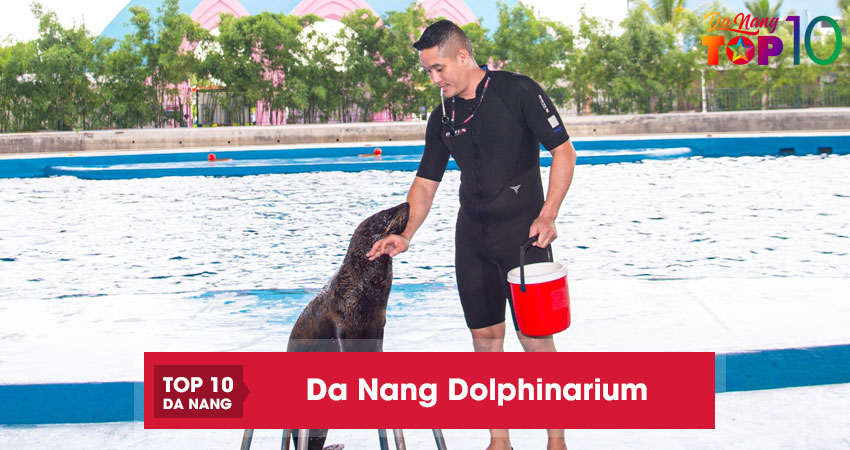 Da-nang-dolphinarium2-top10danang