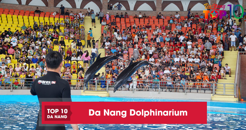 Da-nang-dolphinarium4-top10danang
