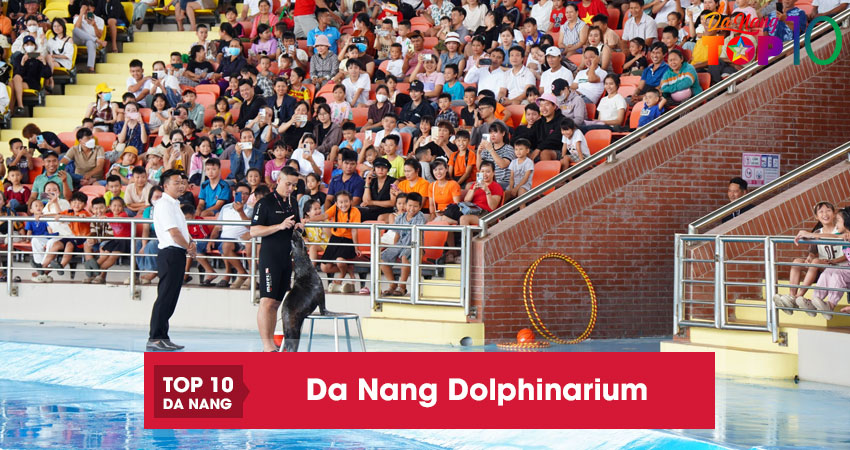 Da-nang-dolphinarium7-top10danang