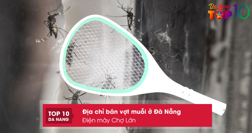 Dien-may-cho-lon-top10danang