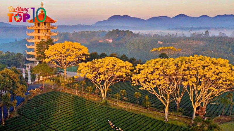 Lam-dong-toplist-trang-web-cap-nhat-tin-tuc-uy-tin-hang-dau-top10danang