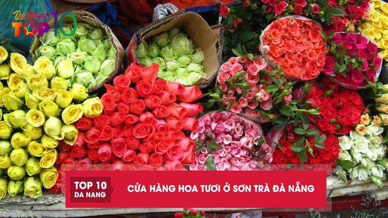 Hoa-tuoi-o-son-tra-da-nang-top10danang