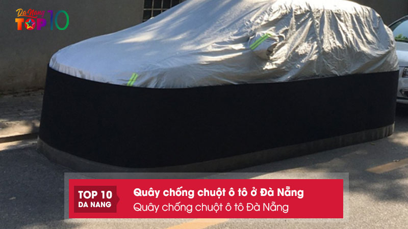 Quay-chong-chuot-o-to-da-nang-top10danang