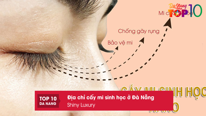 Shiny-luxury-top10danang