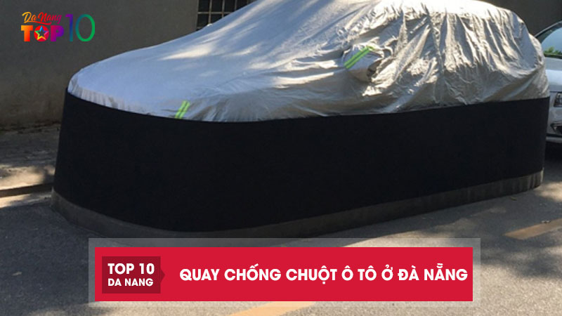 Top-10-dia-chi-ban-quay-chong-chuot-o-to-o-da-nang-cao-cap-top10danang