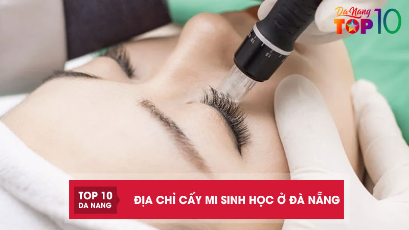 Top-5-dia-chi-cay-mi-sinh-hoc-o-da-nang-uy-tin-an-toan-top10danang