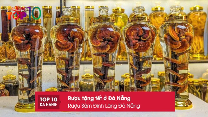Ruou-sam-dinh-lang-da-nang-top10danang