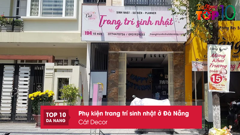 Cat-decor-top10danang