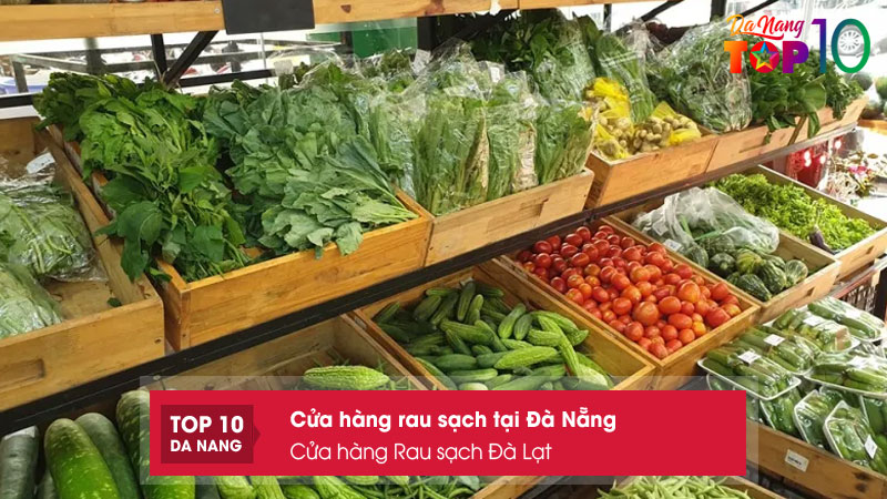 Cua-hang-rau-sach-da-lat-top10danang
