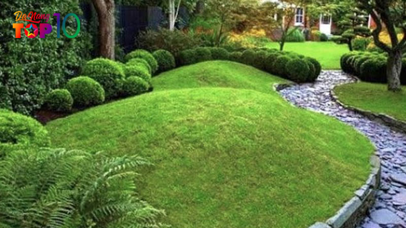 Tao-hinh-doi-co-theo-bo-cuc-tieu-canh-da-dinh-top10danang