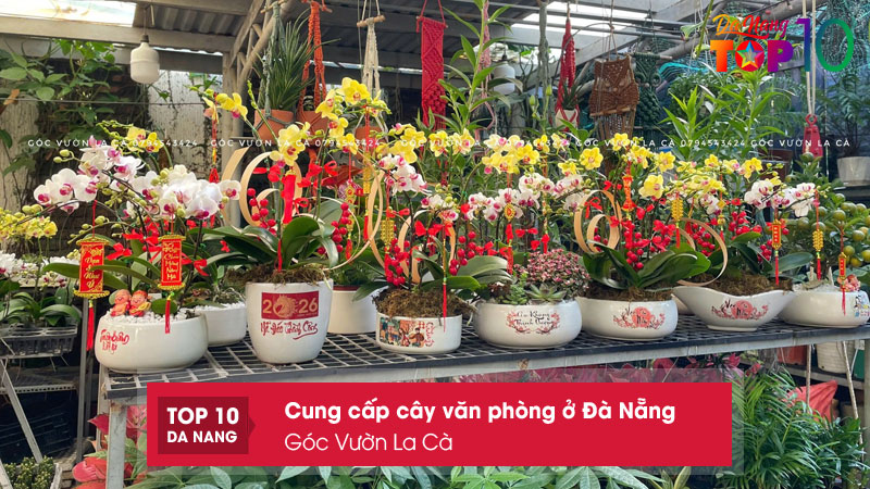 Goc-vuon-la-ca-top10danang