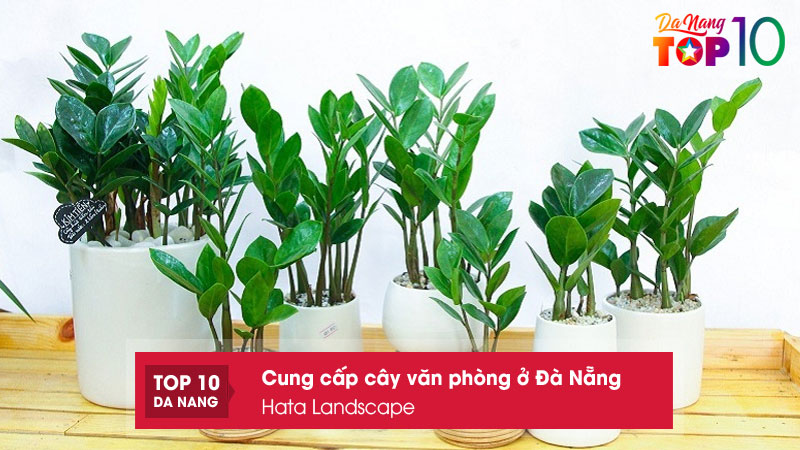 Hata-landscape-top10danang