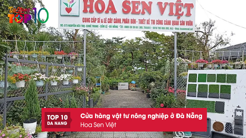 Hoa-sen-viet-top10danang