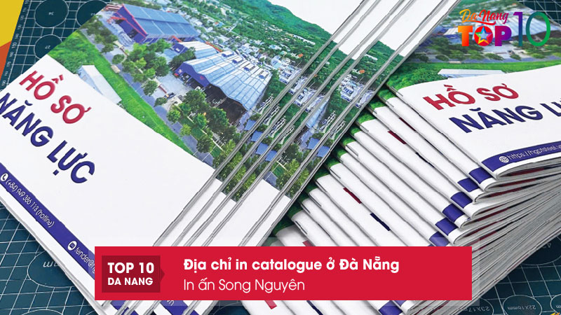 In-an-song-nguyen-top10danang