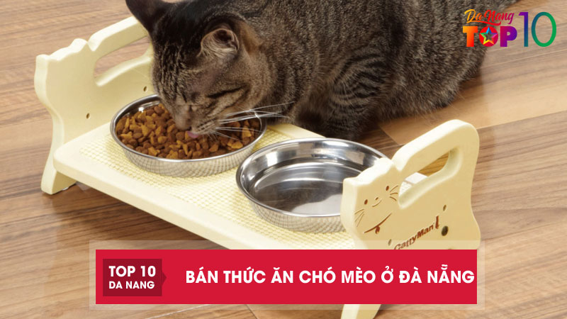Top-10-dia-chi-ban-thuc-an-cho-meo-o-da-nang-da-dang-gia-re-top10danang