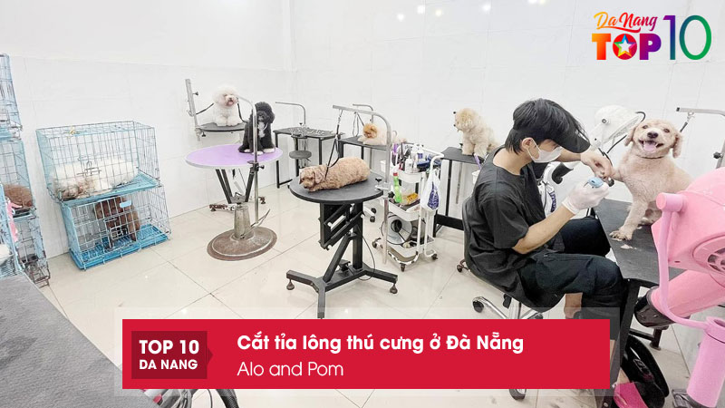 Alo-and-pom-top10danang
