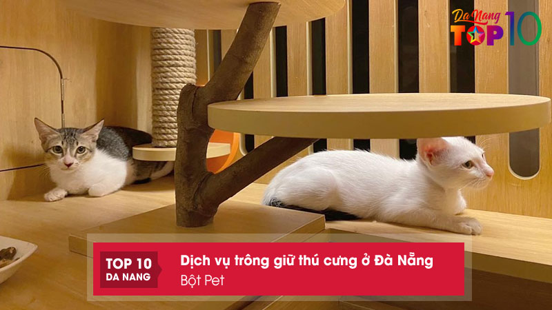 Bot-pet-top10danang