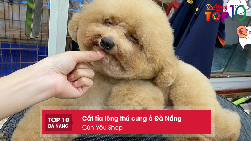 Cun-yeu-shop-top10danang